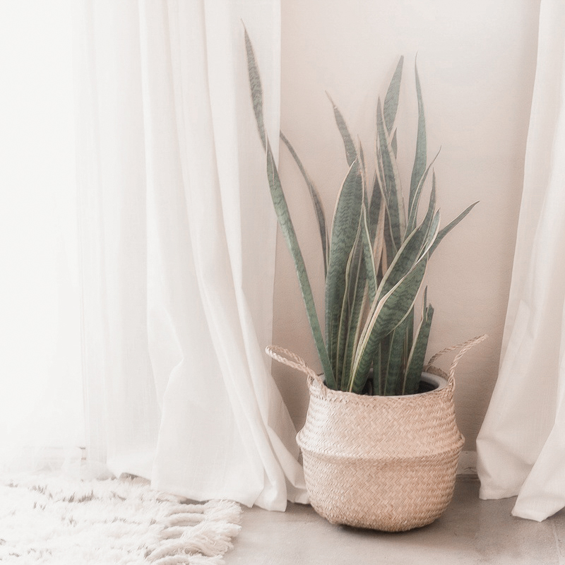 Workshop Home Detox by The Minimal Magazine